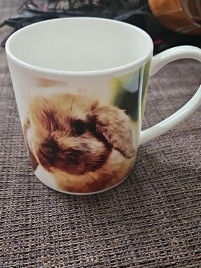 Rose Of England Fine Bone China Baby Rabbit Bunny Tea Coffee Mug